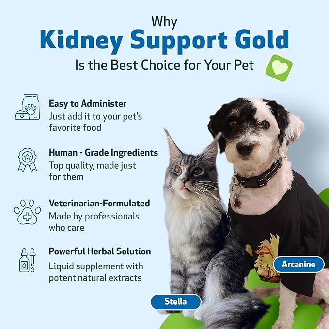 Pet Wellbeing Kidney Support Gold for Dogs & Cats - Healthy Kidney Function, Energy & Fluid Balance, Normal Appetite, Rehmannia, Dong Quai - Veterinarian-Formulated Herbal Supplement 4 oz (118 ml) PetWellbeing