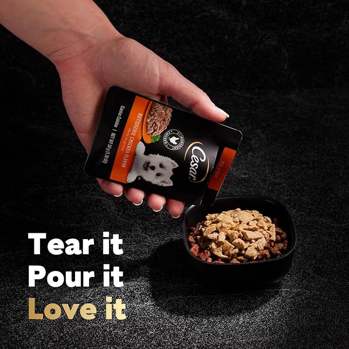 Cesar Filets in Gravy Wet Dog Food Rotisserie Chicken Flavor, 1.76 oz. Mini-Pouch, 20 Pack - PAWPICO