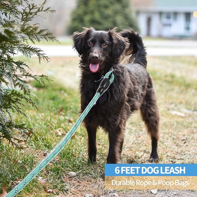 BAAPET 2/4/5/6 FT Dog Leash with Comfortable Padded Handle and Highly Reflective Threads for Small Medium and Large Dogs (6FT-1/2'', Turquoise) BAAPET