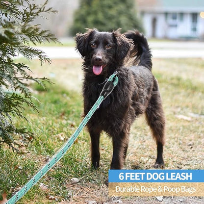 BAAPET 2/4/5/6 FT Dog Leash with Comfortable Padded Handle and Highly Reflective Threads for Small Medium and Large Dogs (6FT-1/2'', Turquoise) BAAPET