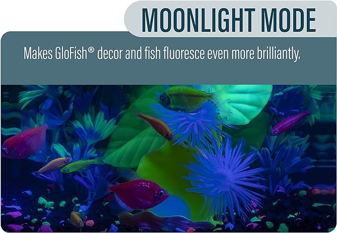 GloFish Aquarium Kit Fish Tank with LED Lighting and Filtration Included GloFish