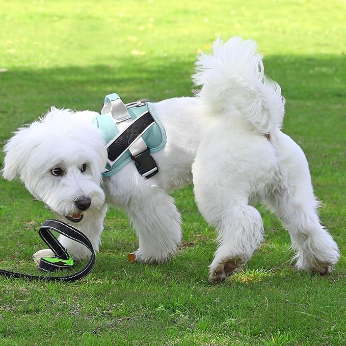 Bolux Dog Harness, No-Pull Reflective Dog Vest, Breathable Adjustable Pet Harness with Handle for Outdoor Walking - No More Pulling, Tugging or Choking Bolux