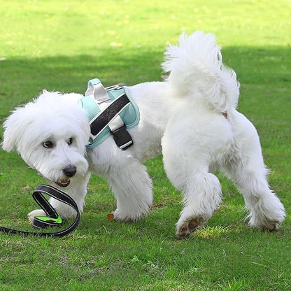 Bolux Dog Harness, No-Pull Reflective Dog Vest, Breathable Adjustable Pet Harness with Handle for Outdoor Walking - No More Pulling, Tugging or Choking Bolux