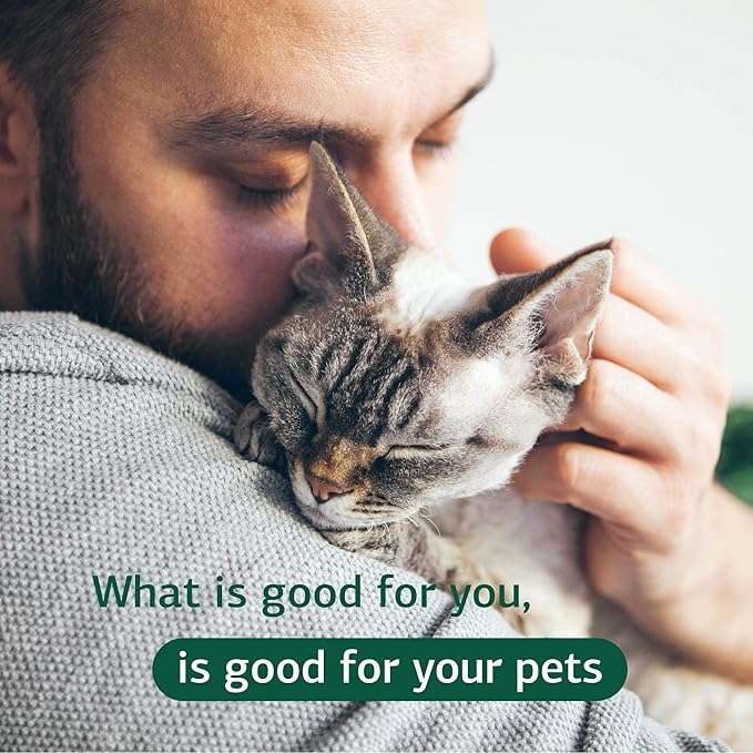 Standard Process Feline Renal Support - Cat Supplement to Support Kidney & Urinary Health - Cat Supplies with Whole Food Ingredients - Feline Supplement for Kidney Function Support - 90 Tablets StandardProcess