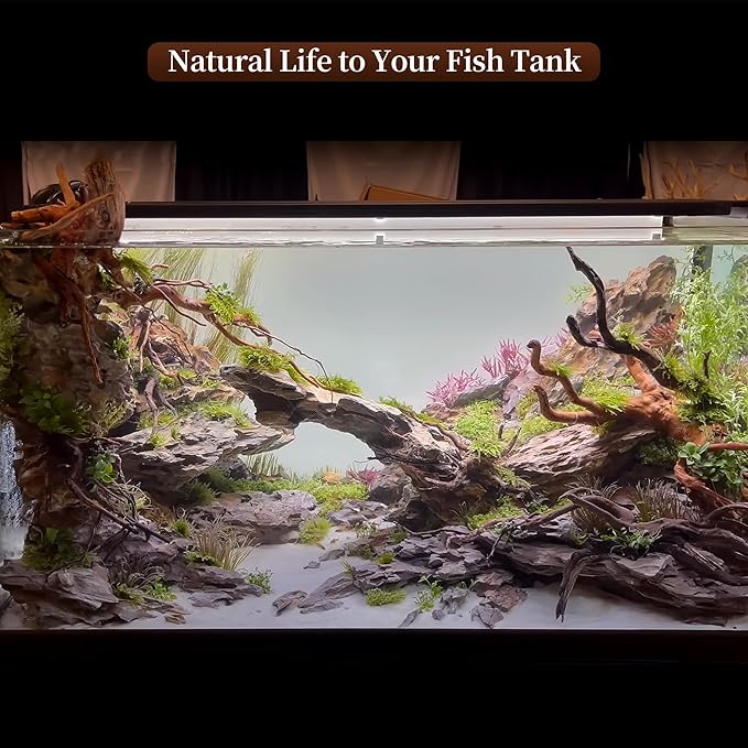 majoywoo Natural Large Driftwood for Aquarium Decor Reptile Decor, Assorted Spider Wood Branch 11-14" 2 Pcs, Fish Tank Decoration Majoywoo