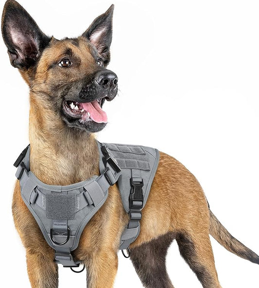 rabbitgoo Tactical Dog Harness for Small, Heavy Duty Pet Harness with Handle, No-Pull Service Vest Small Breed, Adjustable Military Dog Vest for Training Hunting Walking, Grey, S rabbitgoo