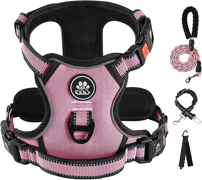IVY&LANE No Pull Dog Harness for Medium Dogs, Dog Vest Harness with Leash, Safety Belt and Storage Strap, Fully Adjustable Harness, 360° Reflective Strip, Soft Handle (Pink, M) IVYLANE