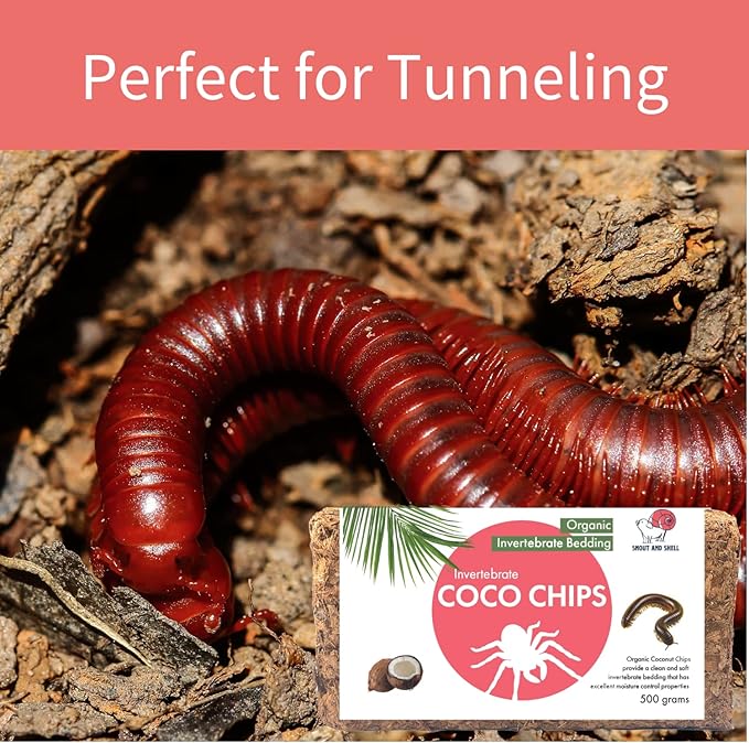 Snout and Shell Organic Invertebrate Coco Chip Bedding Substrate for Tarantulas, Spiders, Millipedes - Natural Habitat for Tunneling, Digging, & Enjoying - 500 Gm SNOUTANDSHELL