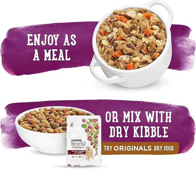 Purina Beneful Gravy Wet Dog Food, Prepared Meals Simmered Beef Entree - (8) 10 oz. Tubs - PAWPICO