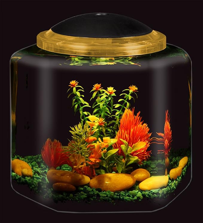 Koller Products 2-Gallon Hex Aquarium Starter Tank - LED Lighting (7 Color Selections), Impact-Resistant Plastic Fish Bowl with Stand for Betta/Nano/Goldfish, Wedding Event & Home Decor DISCOVERTHEEXCITINGWORLDOFKEEPINGTROPICALFISH