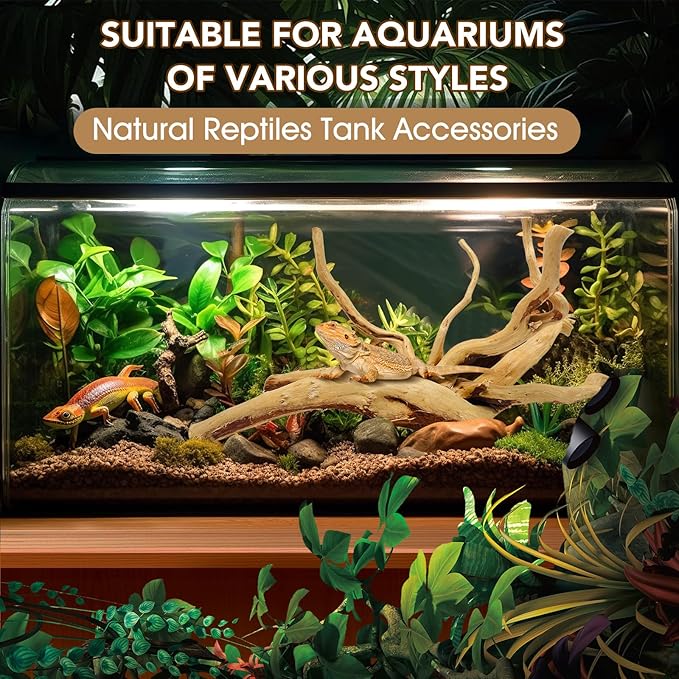 Natural Large Spiderwood Driftwood for Aquarium Decor Rptile Fish Tank Decoration Assort Branch 7-11'' 3 Pcs Jorewood