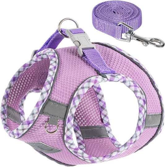 Dog Harness and Leash Set, No Pull Pet Harness for Small Dogs Easy Walking,Soft Breathable Small Dog Harness,Adjustable Reflective Step in Vest Harness for Puppy,Kitten, Cats TomteNisse