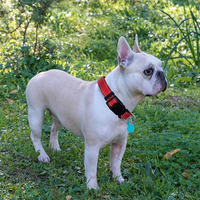 Reflective Dog Collar Padded with Soft Neoprene Breathable Adjustable Nylon Dog Collars for Small Medium Large Dogs (X-Small (Pack of 1), Red Collar+Leash) ladoogo