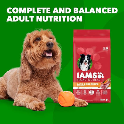 IAMS Minichunks Adult Dry Dog Food Lamb & Rice Recipe Dog Kibble, 15 lb. Bag - PAWPICO
