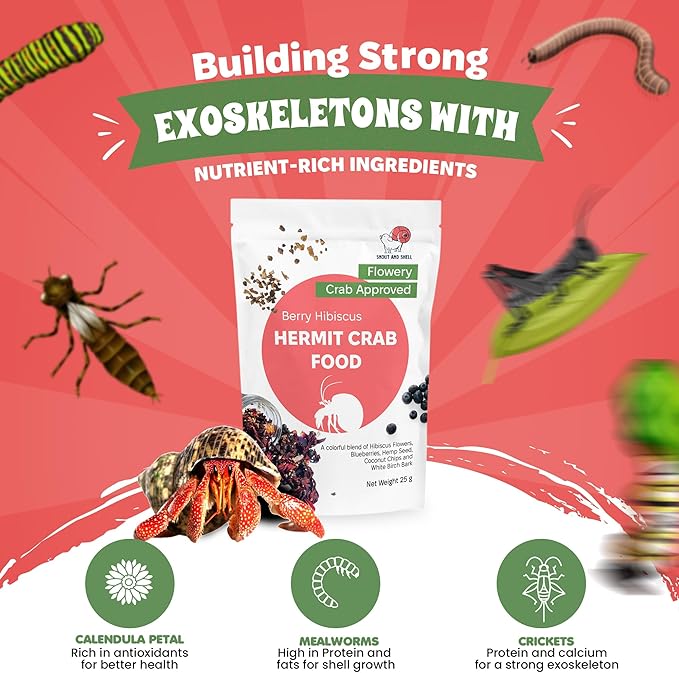 Snout and Shell Berry Hibiscus Hermit Crab Food - Colorful Blend Diet of Hibiscus Flowers, Blueberries, Hemp Seed, Coconut Chips & White Birch Bark - Aquatic Pet Animal Snack Treat | 25g, Multi SNOUTANDSHELL