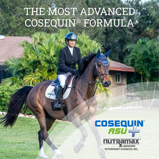 Nutramax Cosequin ASU Joint Health Supplement for Horses - Powder with Glucosamine, Chondroitin, MSM, ASU, Green Tea Extract, and Hyaluronic Acid, 1050 Grams NutramaxLaboratories