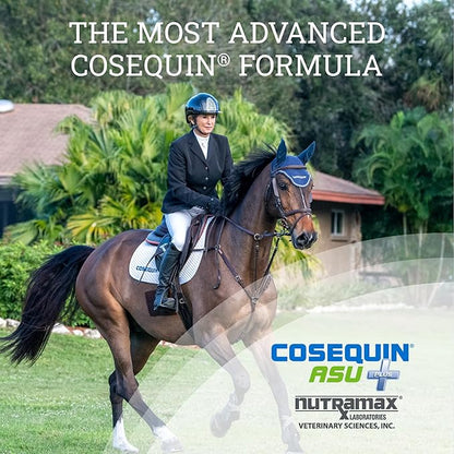 Nutramax Cosequin ASU Joint Health Supplement for Horses - Powder with Glucosamine, Chondroitin, MSM, ASU, Green Tea Extract, and Hyaluronic Acid, 1050 Grams NutramaxLaboratories