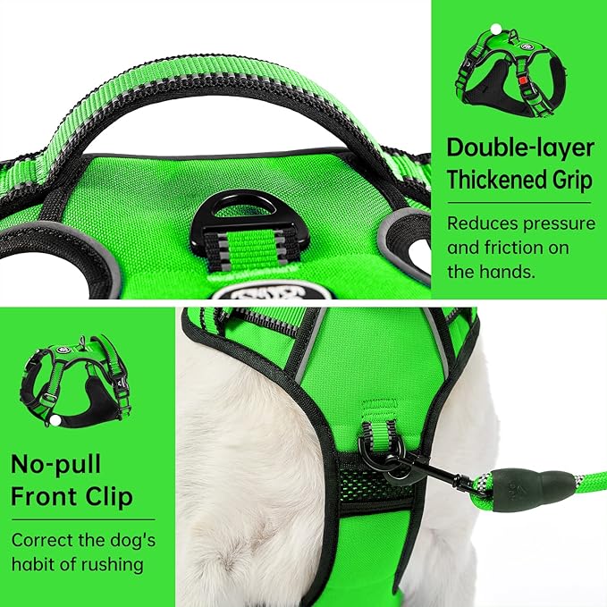 IVY&LANE No Pull Dog Harness for Large Dogs, Dog Vest Harness with Leash, Safety Belt and Storage Strap, Fully Adjustable Harness, 360° Reflective Strip, Soft Handle (Green, XL) IVYLANE
