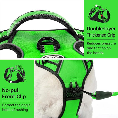 IVY&LANE No Pull Dog Harness for Small Dogs, Dog Vest Harness with Leash, Safety Belt and Storage Strap, Fully Adjustable Harness, 360° Reflective Strip, Soft Handle (Green,S) IVYLANE