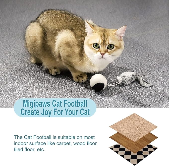 Migipaws Interactive Cat Ball Toy Set, Fun Tracker, Automatic Rolling Chase Ball with Fluffy Tail, A Small Mice, Rechargeable（White） - PAWPICO