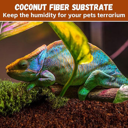 Legigo 6 Pack Compressed Coconut Fiber Substrate - 100% Organic Coconut Fiber Brick Bedding for Reptiles, Natural Coco Husk Substrate Terrarium Bedding for Snake, Hermit Crabs, Frogs, Tortoise, Gecko Legigo