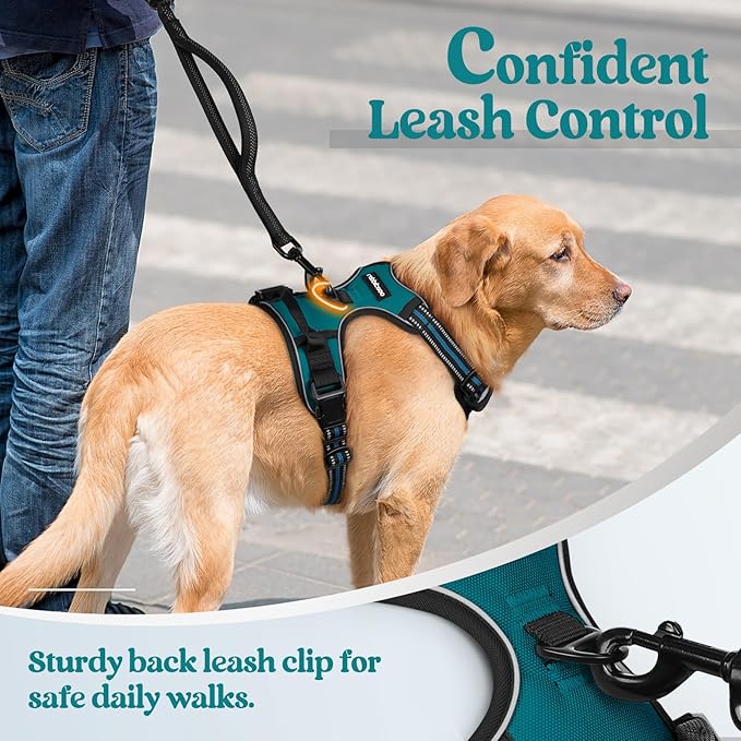 rabbitgoo Dog Harness No Pull with 2 Leash Clips, Adjustable Soft Padded, Reflective Oxford No Choke Pet Vest with Easy Control Handle for Large Dogs, Blue Coral, L rabbitgoo