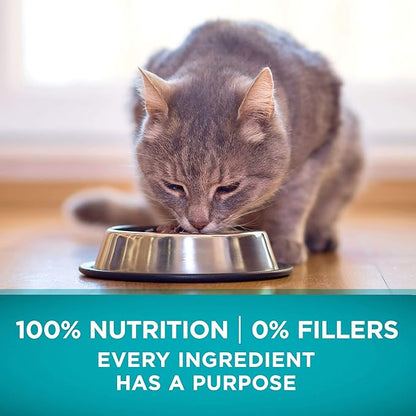 Purina ONE Natural, High Protein, Grain Free Dry Cat Food, True Instinct With Real Chicken - 3.2 lb. Bag - PAWPICO