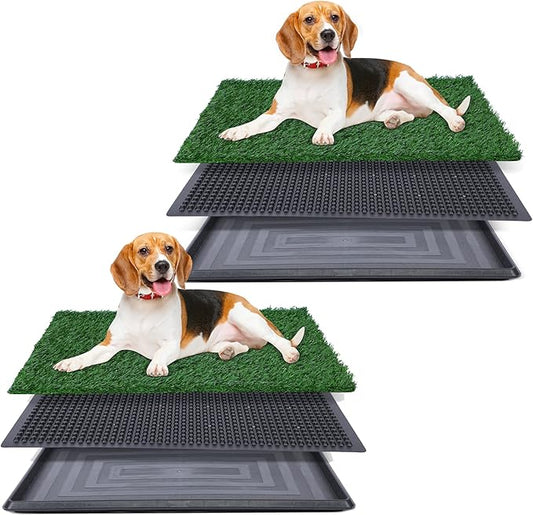 Artificial Grass for Dog Potty – 20x30 inch,Strong Absorbency Grass Pad, Dog Grass Pad with Tray, Dog Potty Training Pad, Dog Litter Box with Grass (20"x30" X2) - PAWPICO