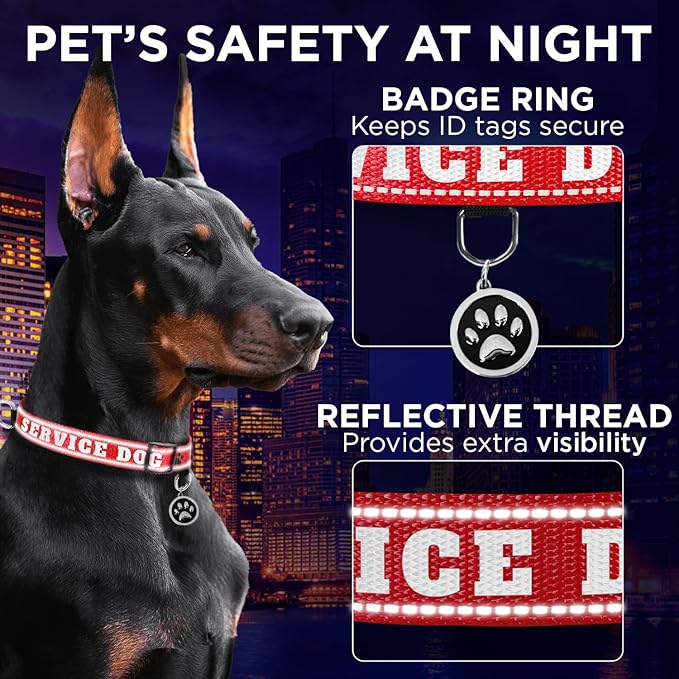 TECEUM Reflective Pet Collar – Red - Service Dog – L – Basic Nylon Dog Collar – Quick Release Buckle – Fits Small, Medium and Large Dogs, Puppies, Cats – ESA & Service Dog Options TECEUM