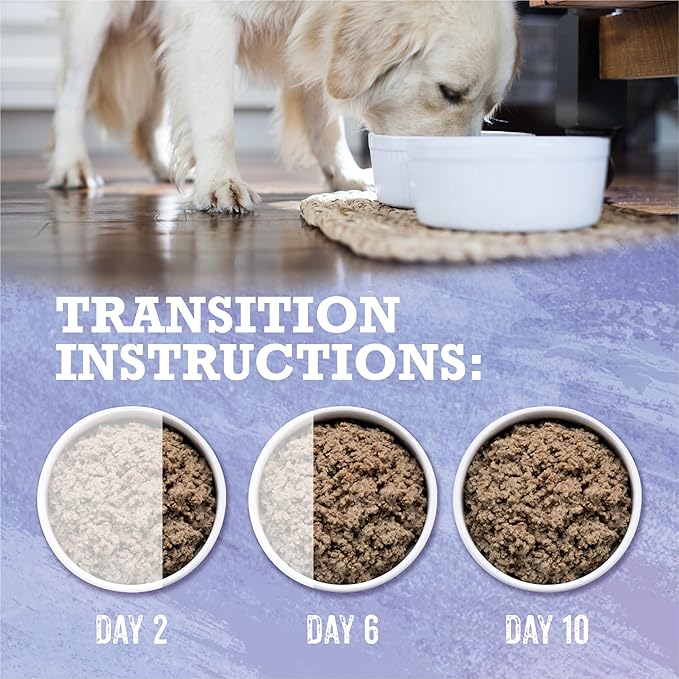 Purina Beyond High Protein, Grain Free, Natural Pate Wet Dog Food, WILD Turkey, Liver & Duck Recipe - (12) 13 oz. Cans - PAWPICO