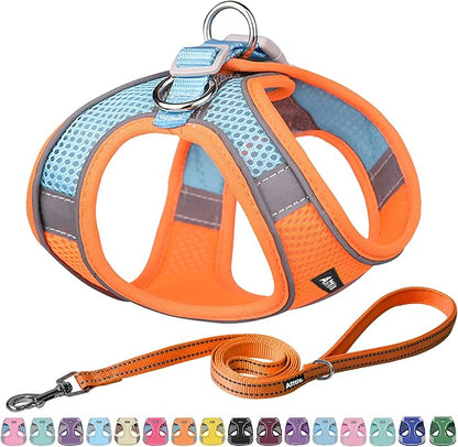AIITLE Comfortable Dog Harness and Leash Set for Walking - Spring Step in Vest Harness,Reflective Bands, Adjustable No Pull Puppy Essentials, for Small Dogs and House Cats Orange XS AIITLE-FORPETSBETTERLIFE