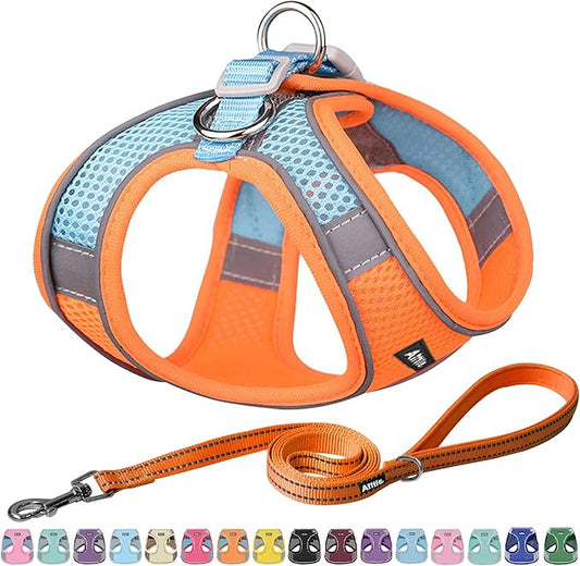 AIITLE Comfortable Dog Harness and Leash Set for Walking - Spring Step in Vest Harness,Reflective Bands, Adjustable No Pull Puppy Essentials, for Small Dogs and House Cats Orange XS AIITLE-FORPETSBETTERLIFE