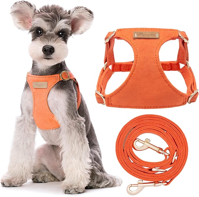 Puppytie No Pull Small Dog Harness with Multifunction Dog Leash,Lightweight Soft Adjustable No Choke Escape Proof Pet Harness Vest Pet Harness Vest,Orange,S Puppytie