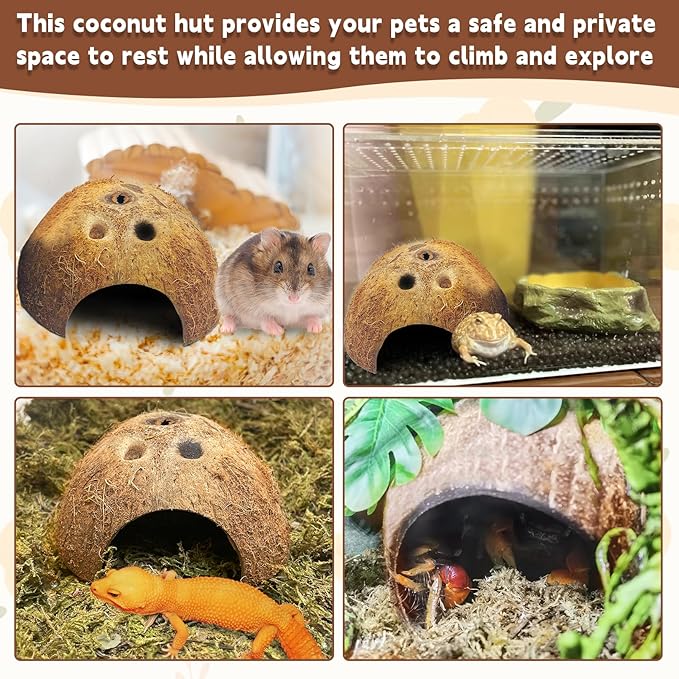PINVNBY Natural Coconut Reptile Hideouts Lizard, Coco Hut Hermit Crab Hut Aquarium Fish Hide Cave for Small Reptile Crested Gecko Leopard Gecko Spider Snail Climber Toys (2 PCS Natural Surface) PINVNBY