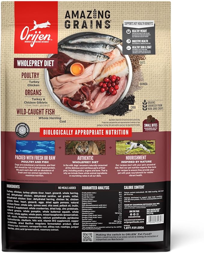 ORIJEN Amazing Grains™ Small Breed Dry Dog Food Recipe, 10lb - PAWPICO