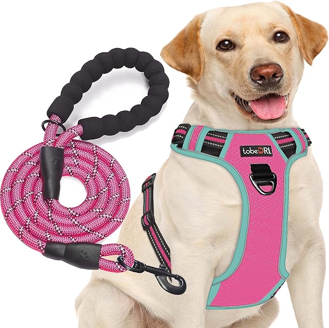 No Pull Dog Harness Adjustable Reflective Oxford Easy Control Medium Large Dog Harness with A Free Heavy Duty 5ft Dog Leash tobeDRI
