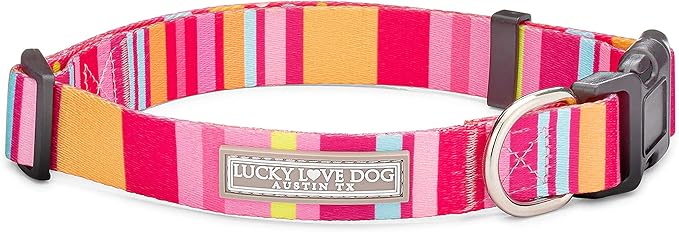 Lucky Love Dog, Colorful Stripes Dog Collar, Yellow, Pink, Blue Color Dog Collar, Cute Dog Collar for Girl Dogs - (Extra Large, Molly Collar) LuckyLoveDog