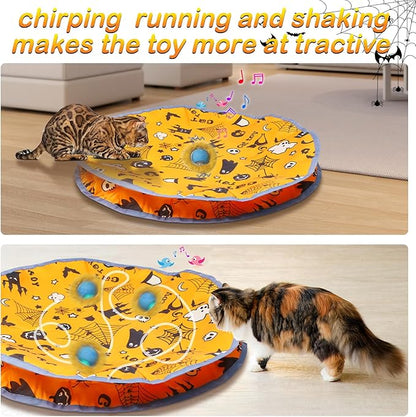 Interactive Cat Toys Ball Rolling in The Pouch, Chirping & Motion Activated Interactive Cat Ball Toy Begins Hide and Seek Game in Mat, Rechargeable Cat Exercise Toy - PAWPICO
