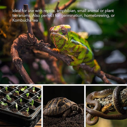 BN-LINK Reptile Heating Pad Electric Indoor Under Tank Terrarium Heating Mat Waterproof for Turtles, Lizards, Frogs, and Other Reptiles, 8" X 12" BN-LINK