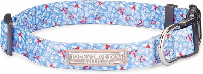 Lucky Love Dog Collar, Cute Winter Dog Collars for Medium Dogs, Blue Snowflake Dog Collar for Male and Female Dogs, Part of Purchase Donated to Dog Rescue - (Winterblue Collar, M) LuckyLoveDog