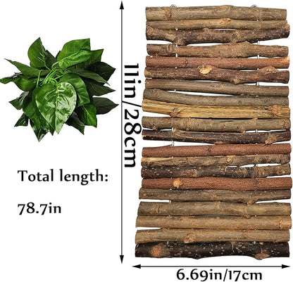 Hamiledyi Wooden Reptile Hideout Bearded Dragon Bendy Bridge Climbing Ladder Hiding Hut Reptiles Hide Cave Habitat Decor for Lizards Gecko Spiders Snakes Tortoise(M:11.8" x 6.7") Hamiledyi