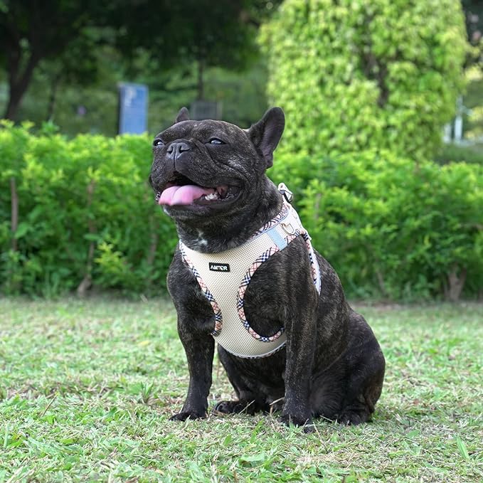 AMTOR Small Dog Harness with Leash Set, No Escape Easy Walk Puppy Harnesses for Training Walking, Step-in Reflective Soft Dogs Vest for XS S Medium Extra-Small Large Sized Dog(Beige,XL) - PAWPICO