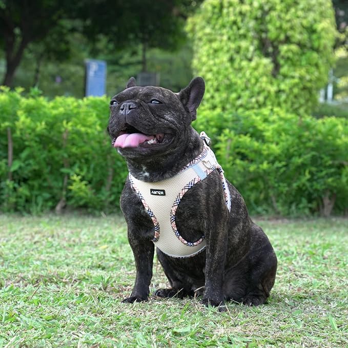 AMTOR Small Dog Harness with Leash Set, No Escape Easy Walk Puppy Harnesses for Training Walking, Step-in Reflective Soft Dogs Vest for XS S Medium Extra-Small Large Sized Dog(Beige,XXS) AMTOR