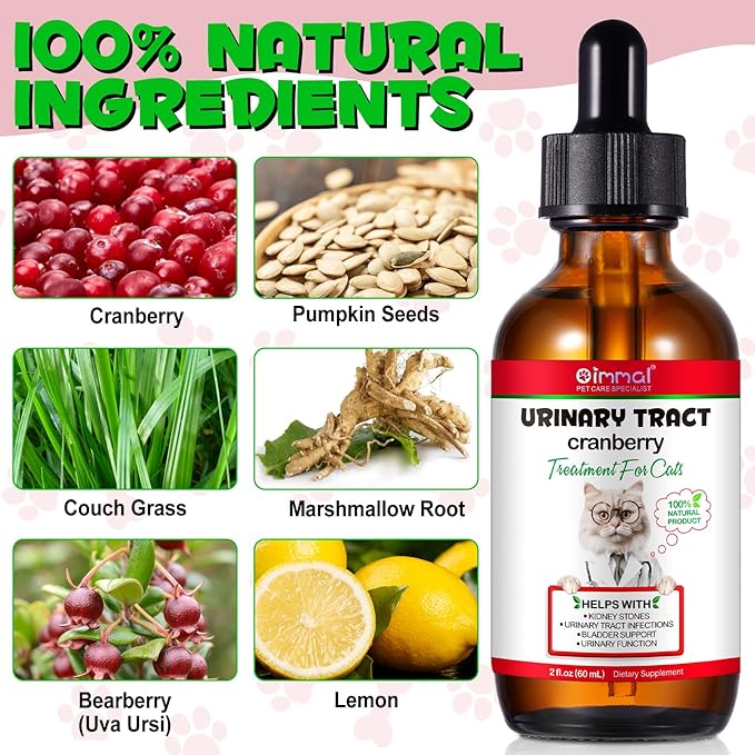 Urinary Tract for Cats, Natural Cat Urinary Tract Infection Treatment Drops - Supports Bladder, Kidney Stone, Dog UTI, Cranberry Kidney Bladder Support Supplement, Chicken Flavor - 60 ml / 2.02oz PAWPICO