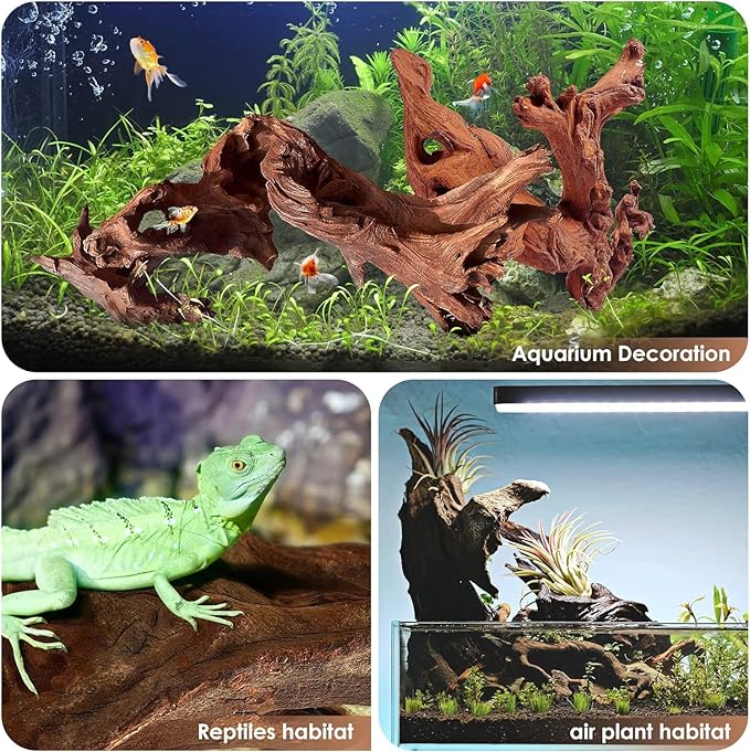 Natural Large Coral Driftwood for Aquarium Fish Tank Decorations Reptile Decor, Assorted Driftwood Branch 7-11" Pack of 3 Jorewood