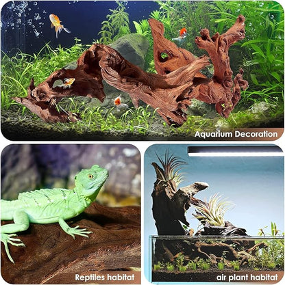 Natural Small Coral Driftwood for Aquarium Decor Fish Tank Decorations Reptile Decor, Assorted Driftwood Branch 5-8" Pack of 5 Jorewood
