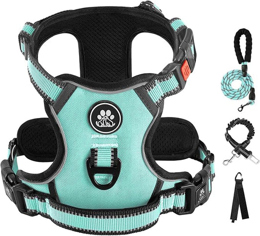 IVY&LANE No Pull Dog Harness with Leash Set, Reflective No Choke Pet Vest,Adjustable Oxford Dog Vest Harness with Easy Control Handle for Large Dogs (Turquoise,XL) IVYLANE