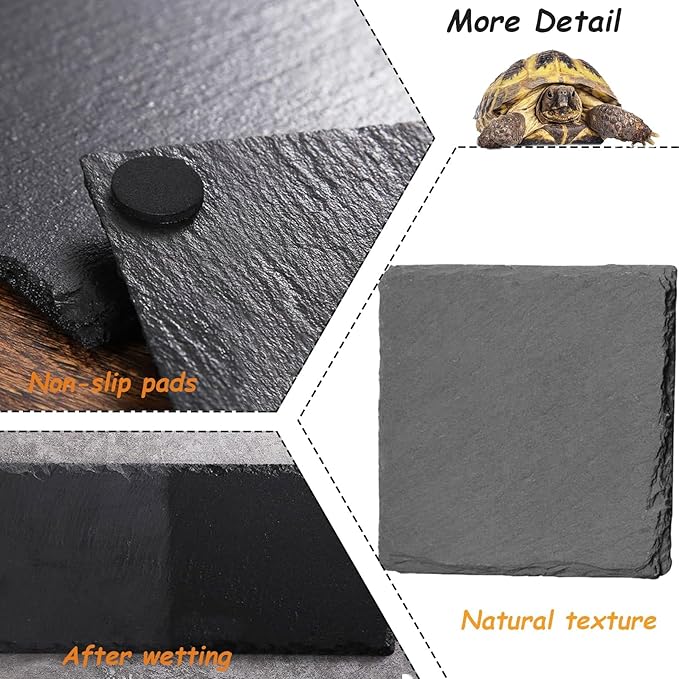 Reptile Basking Platform 2Pcs 7.8'' Tortoise Rock Plate Slate Feeding Platform Food Dish Bowl Turtle Bathing Rock Rest Terrace for Chameleon Lizard Bearded Dragon Gecko Snake Frog Newt (20CM) Tfwadmx