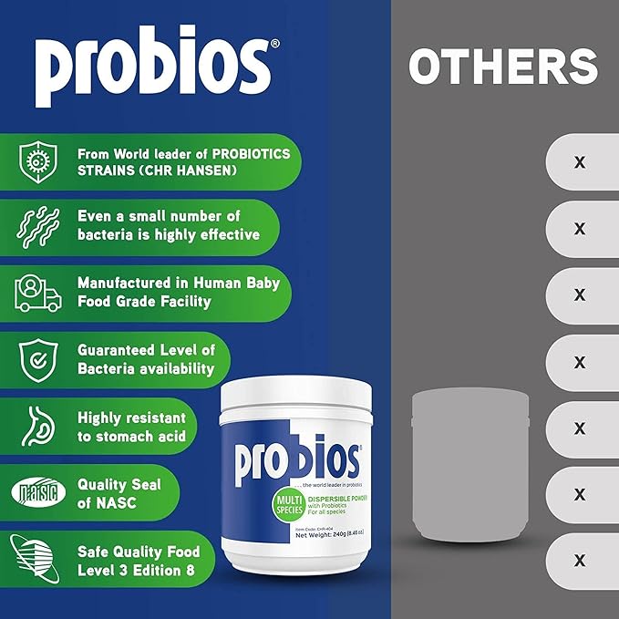 Probios Dispersable Powder - Probios Powder, Pet Probiotic, Probiotics for Swine, Equine, Sheep, Goat, Dog, Cat, Bird, Rabbit, Foals (240 gm) Probios