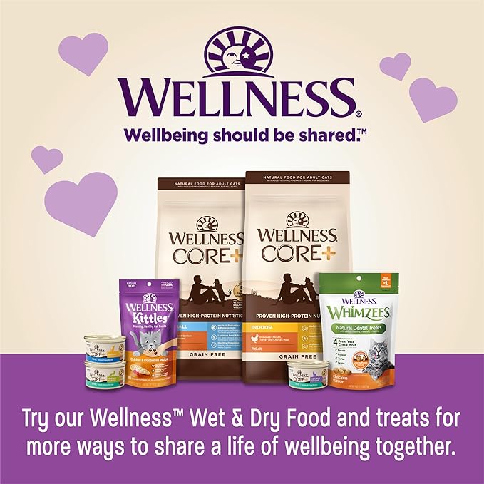 Wellness Kittles Crunchy Natural Grain Free Cat Treats, Chicken & Cranberries Recipe, All Life Stages, 2-Ounce Bag (Pack of 3) WellnessNaturalPetFood